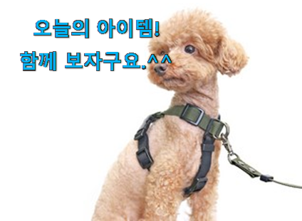 자랑스런 앞섬방지 하네스 물건 안사곤 못배기겠어요 ㅋㅋ 자랑스런 앞섬방지 하네스 물건 안사곤 못배기겠어요 ㅋㅋ