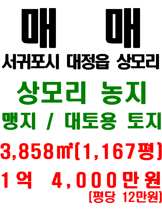  서귀포시 대정읍 상모리 농사용 토지 매매(매물번호 538)
