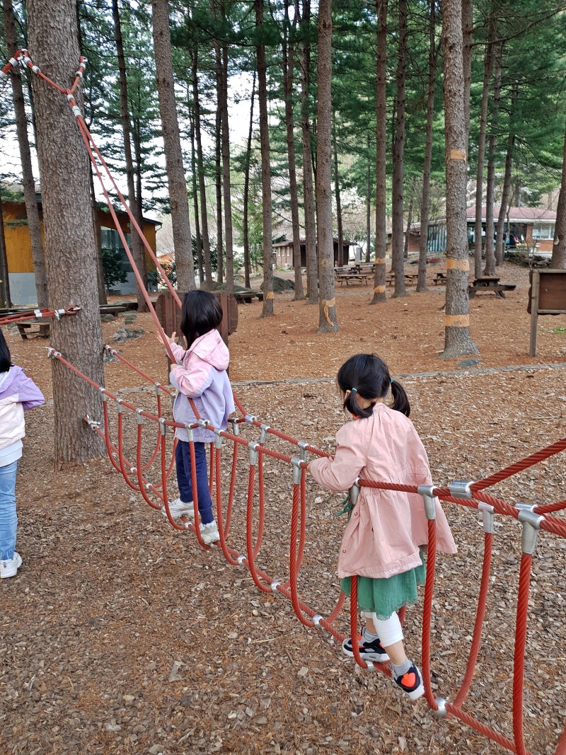 가평 아이와 가볼만한곳 유명산 자연휴양림(숲속의 집 산돼지)