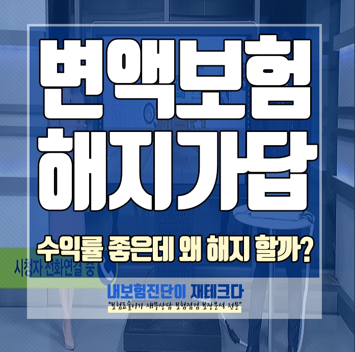  변액보험해지 를 많이들 해서 수익률 적립금 내보험 조회 해 봤어요.