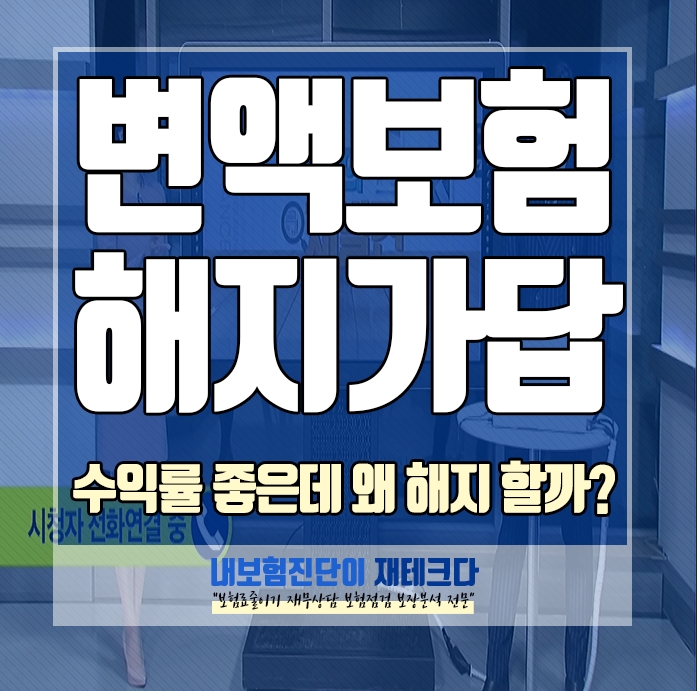 변액보험해지 를 많이들 해서 수익률 적립금 내보험 조회 해 봤어요.