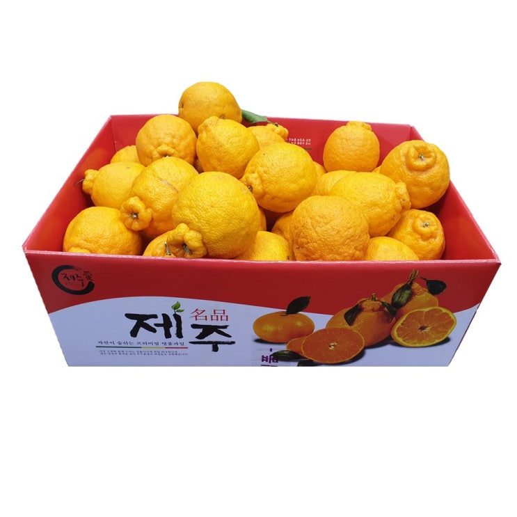 잘나가는 제주 한라봉 가정용소과 10kg(47~54과)-벌크, 1개 좋아요 잘나가는 제주 한라봉 가정용소과 10kg(47~54과)-벌크, 1개 좋아요