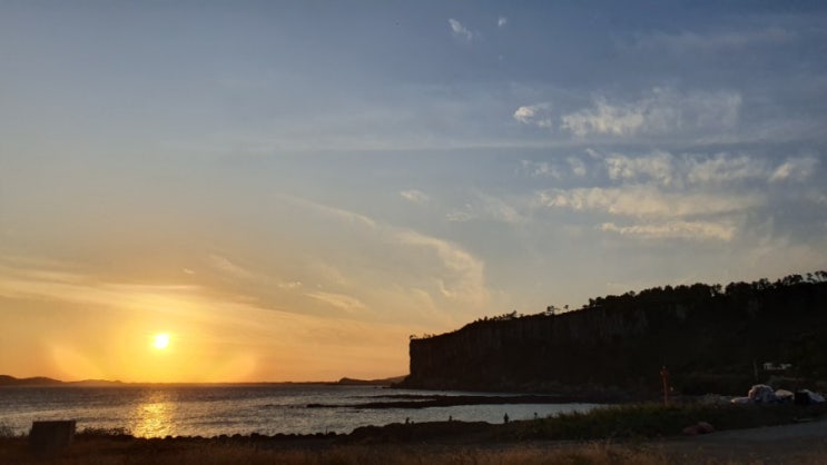 반려견동반여행 / 제주도여행 / 카페루시아