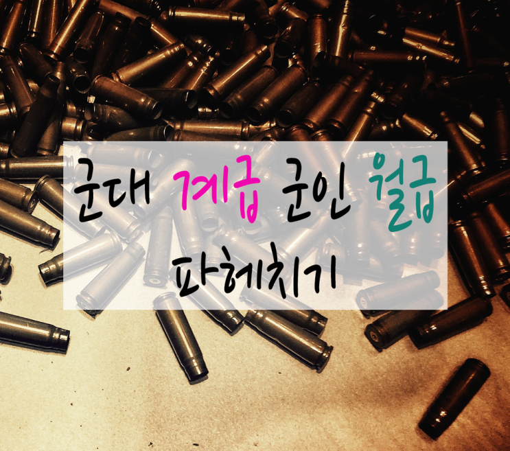  [체험] 군대 파헤치기 - 계급 정리, 군인 월급과 연금, 이모저모 with 북한군