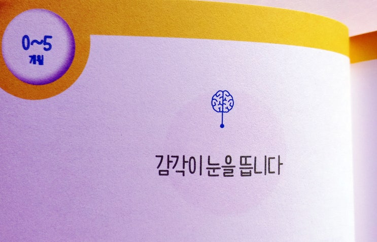  [엄마, 나는 똑똑해지고 있어요] 0~5개월 아기 발달  공감과 의문, 2부