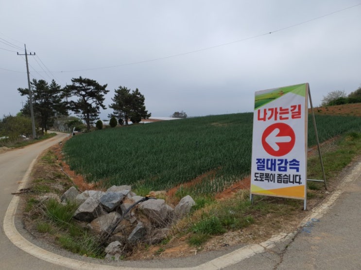 나가는 길 나가는 길