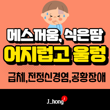  어지럽고 메스꺼움, 울렁거림, 구토, 식은땀 증상! 갑자기? - 전정신경염, 스트레스성 공황장애