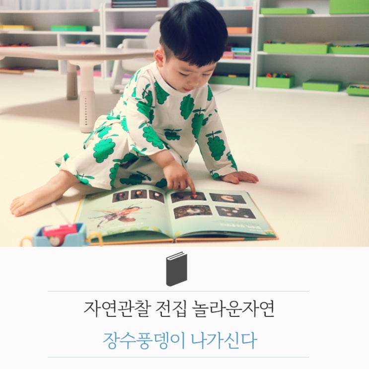  [책육아] 자연관찰전집 '놀라운자연' 장수풍뎅이 독후활동