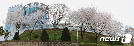 예수대 사회복지학부 통째로 사라지나…재학생들 '당혹' 예수대 사회복지학부 통째로 사라지나…재학생들 '당혹'