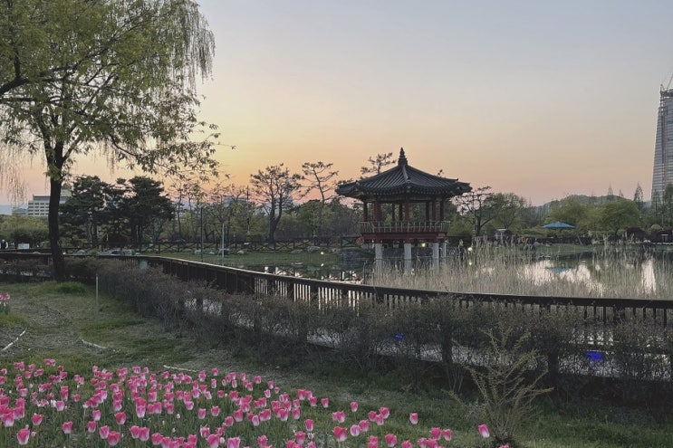  가볍게 산책하기 좋은 곳 한밭수목원