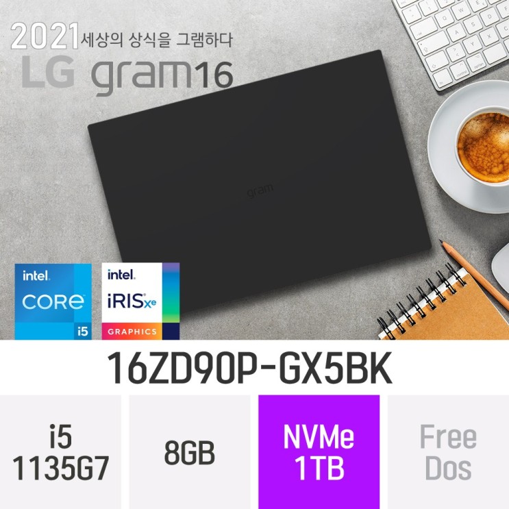당신만 모르는 LG 2021 그램16 16ZD90P-GX5BK, 8GB, 1TB, 윈도우 미포함 추천해요