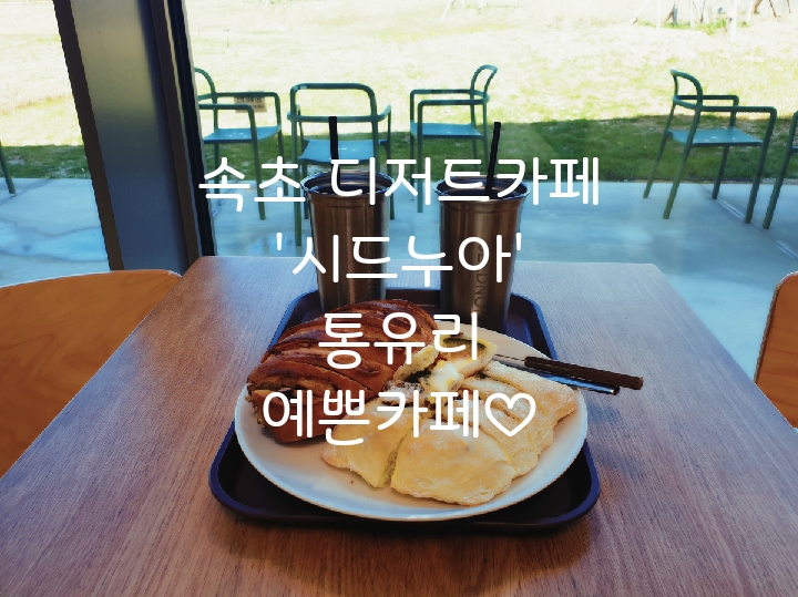 속초 핫플레이스 디저트카페 시드누아  통유리속 예쁜카페!!
