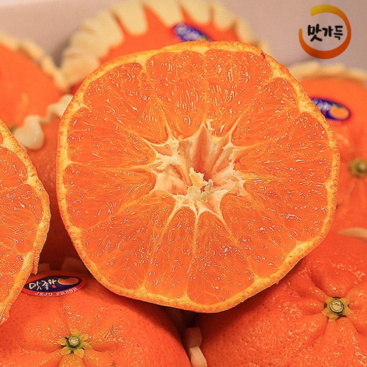 잘팔리는 맛가득 제주도 레드향 천혜향 한라봉 황금향 타이벡 감귤 가정용 선물용 3Kg 5Kg 10Kg, 고당도 하우스 타이벡 감귤 2L (40-46과) ··· 잘팔리는 맛가득 제주도 레드향 천혜향 한라봉 황금향 타이벡 감귤 가정용 선물용 3Kg 5Kg 10Kg, 고당도 하우스 타이벡 감귤 2L (40-46과) ···