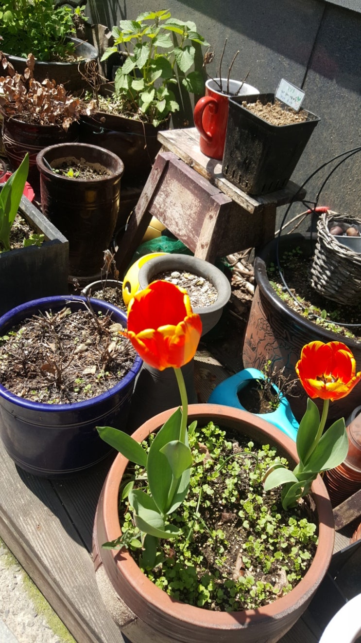  포일자이 주변 사진 4/16