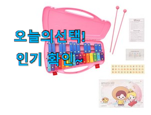  SNS대박 초등학생 실로폰 갓템 추천이라구요