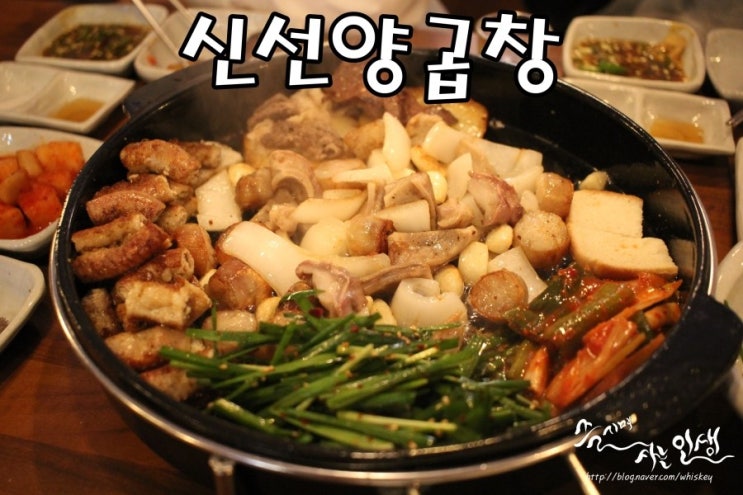  [강남구청역 맛집] 압구정 맛집 신선양곱창
