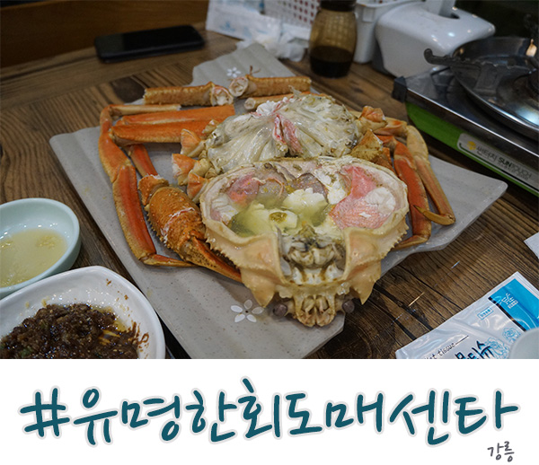  강릉 탑스텐 호텔 맛집 대게가 맛난 유명한회도매센타