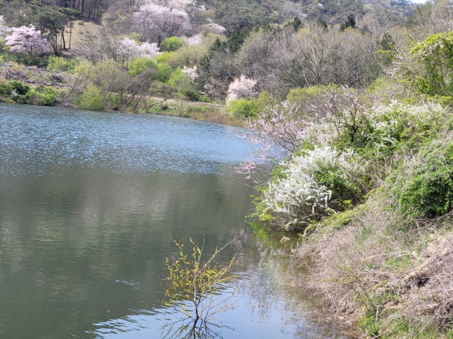 외량지 사진 5
