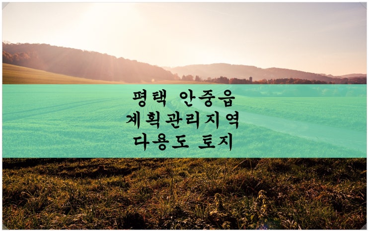  평택 안중읍 계획관리지역 다용도 토지 8천평. 물류창고, 공장, 타운하우스, 기숙사 등 가능!!