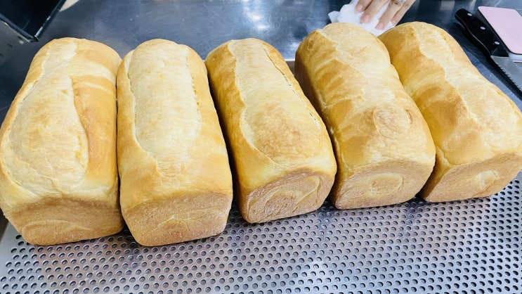  [내일배움카드 제과제빵기능사] Day2 : 버터톱식빵 만들기(이성실요리커피제빵학원)