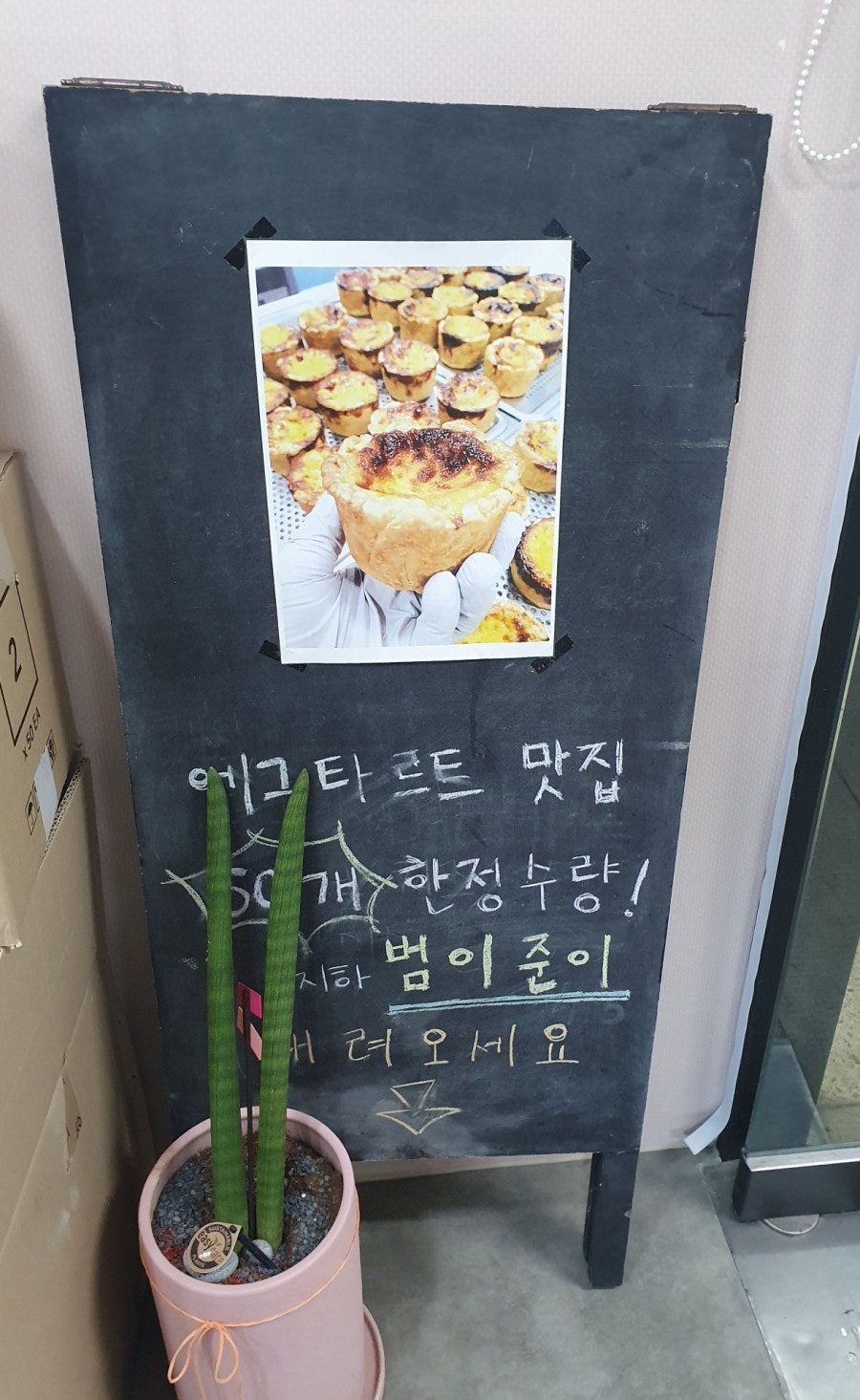 범이준이 사진 5