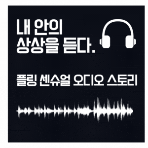  아이폰 앱  플링 센슈얼 오디오 스토리