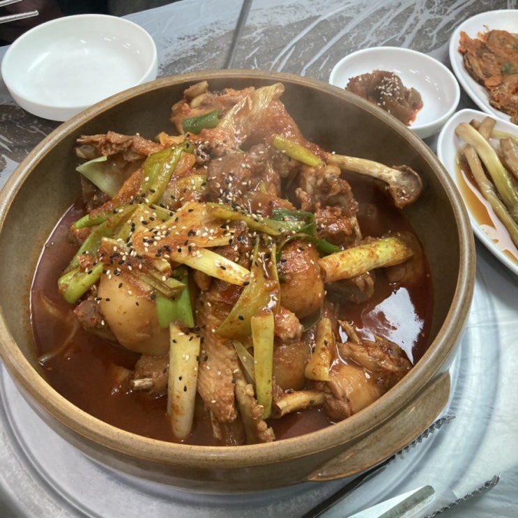  상관 편백숲 _토닭토닭 / 전주 근교 카페_ 애드리브