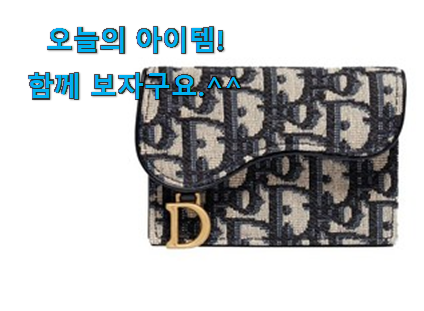가성비 디올 지갑 선택 요즘 이거 없이는 못살겠어요 ㅎㅎ 가성비 디올 지갑 선택 요즘 이거 없이는 못살겠어요 ㅎㅎ
