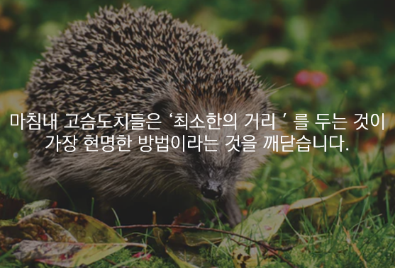  [관계] 대인관계는 고슴도치처럼.