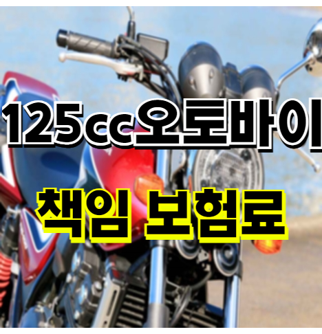 125cc 오토바이 책임 보험료 가격 (스무살)