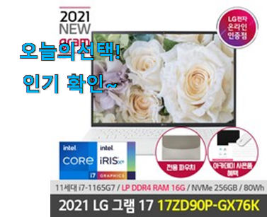  센스있는 lg 노트북 그램 17인치 i7 나의 선택 안사곤 못배기겠어요 ㅋㅋ