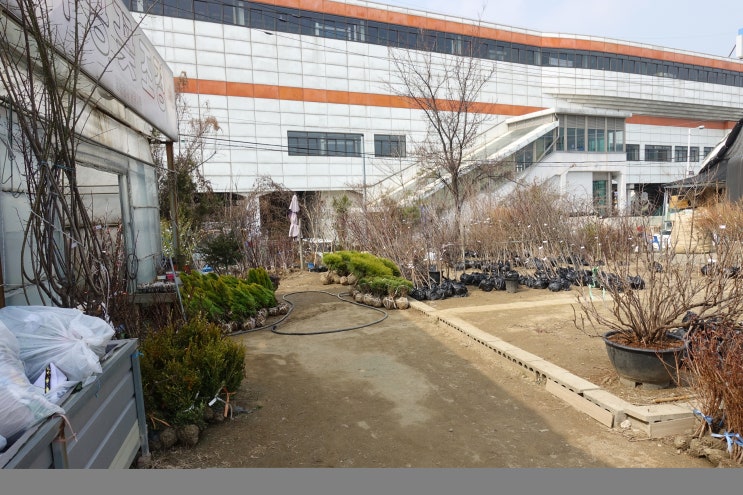  손떨림 목소리떨림 머리떨림 원인과 치료