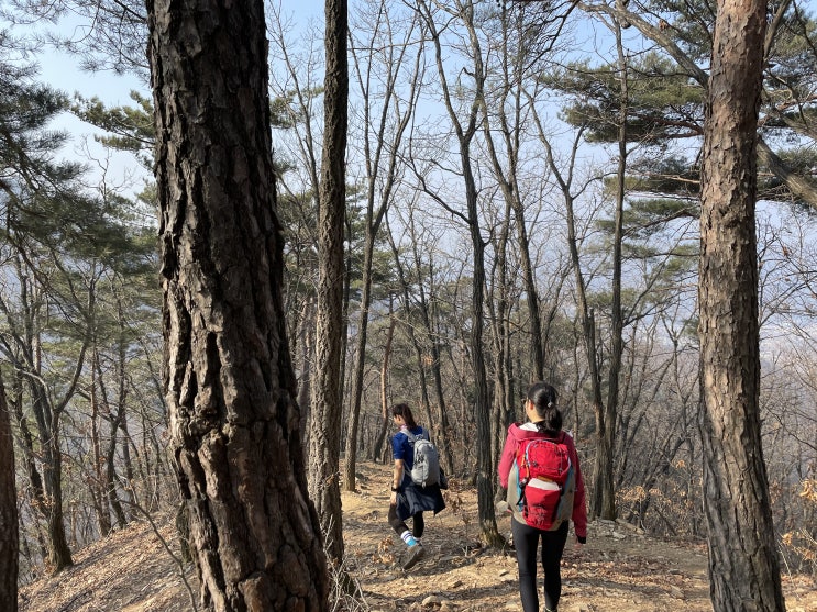  20210221 / 소요산 / 토가 / 홍코커피 / 명산100