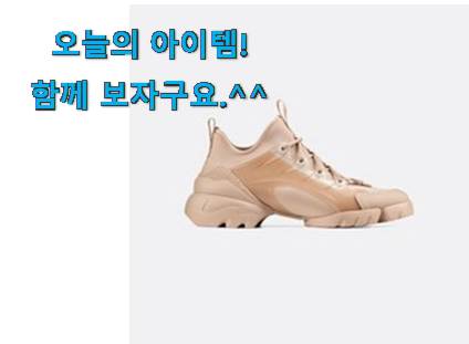 안보면 손해 디올스니커즈 꿀템상품 남편도 인정하네요 안보면 손해 디올스니커즈 꿀템상품 남편도 인정하네요