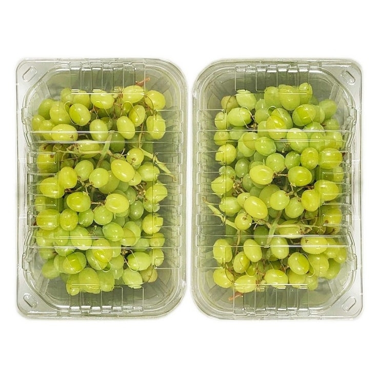 가성비 뛰어난 씨 없는 청포도 3.6kg 샤인머스켓 거봉포도 머루 ··· 가성비 뛰어난 씨 없는 청포도 3.6kg 샤인머스켓 거봉포도 머루 ···