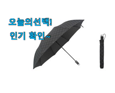 후기대박 자동 우산 2단 자동 확실한 꿀템 참 만족스럽습니다.