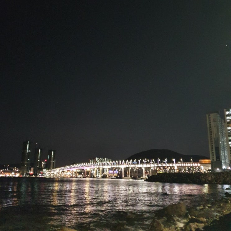  일상 / 영도