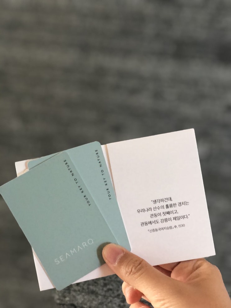  [강릉여행] 결혼기념일 씨마크호텔가서 호캉스하고 온 후기