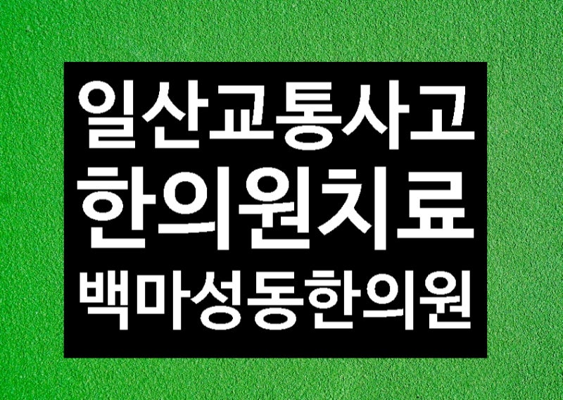일산 마두동 교통사고치료한의원 [백마성동한의원]