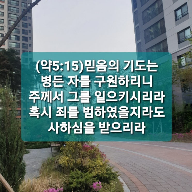  믿음의 기도는 병든자를 구원한다.