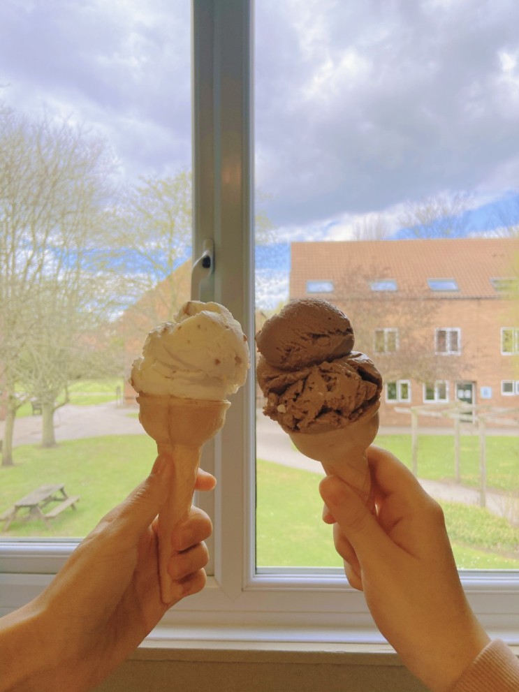 [영국요크일상] 숙소 앞에 온 ice cream van +영국친구에게 한국음식 만들어주기  | 평범한 일상