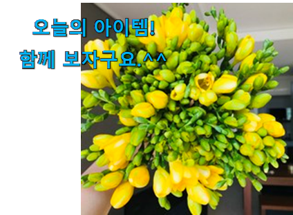 가성비템 생화 꽃꽃이용 꽃 나의 선택 지인들 다 인정해요. 가성비템 생화 꽃꽃이용 꽃 나의 선택 지인들 다 인정해요.
