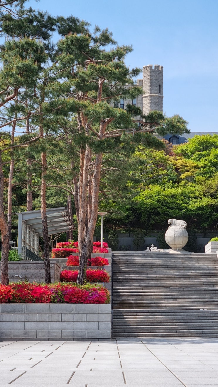  KMBA 두 번째 오프라인 수업(대면 수업)과 발표, KMBA 2021 후드 집업, 고려대학교 4월 모습