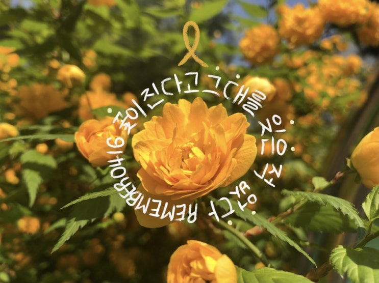  [ep. 4] 세월호 7주기, REMEMBER 0416