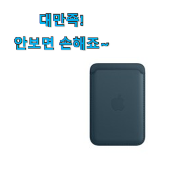 가성비템 애플 카드지갑 인싸템 참 맘에드는군요 가성비템 애플 카드지갑 인싸템 참 맘에드는군요
