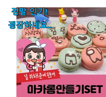 할인 마카롱 만들기 세트 물건 이건 사야돼! 할인 마카롱 만들기 세트 물건 이건 사야돼!