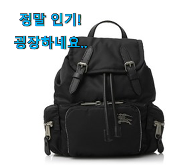 후기로대박난 최상의 선택 라벨 루쏘 백팩 후기로대박난 최상의 선택 라벨 루쏘 백팩