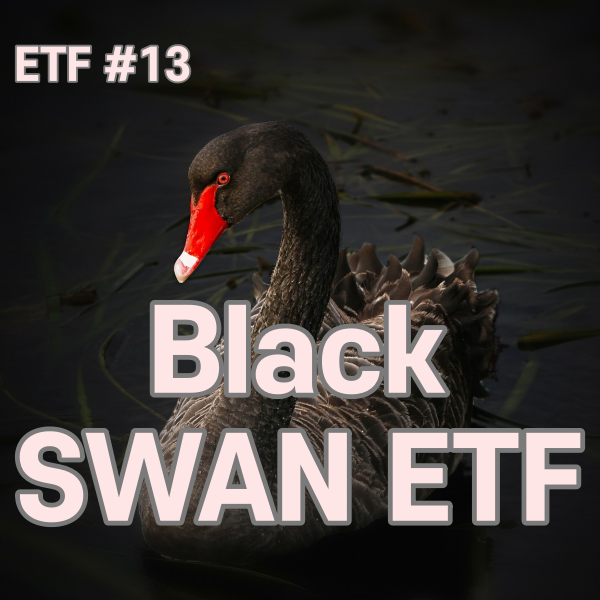 SWAN ETF, 자산배분 포트폴리오 ETF #13