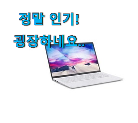 퀄리티 좋은 꿀템 lg 노트북 그램 퀄리티 좋은 꿀템 lg 노트북 그램