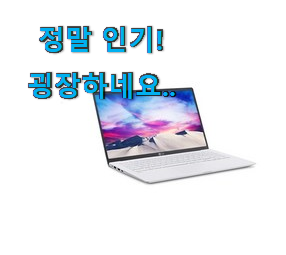 퀄리티 좋은 꿀템 lg 노트북 그램